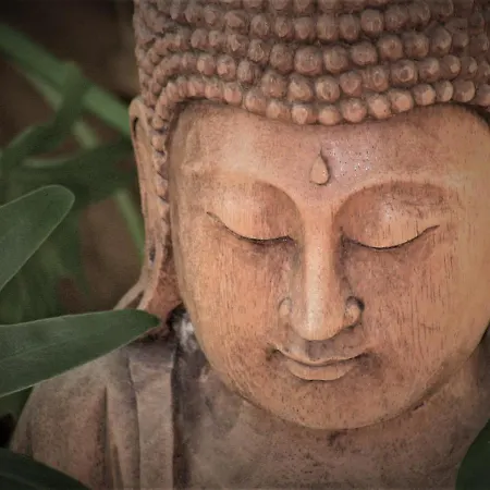 Tatil Evi Olivar De Castilla - Sun&colors Segovia