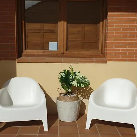 Olivar De Castilla - Sun&colors