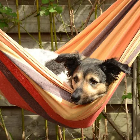 Olivar De Castilla - Sun&colors Feriehus *