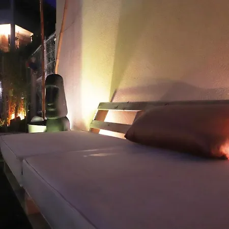 Olivar De Castilla - Sun&colors