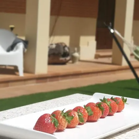 Olivar De Castilla - Sun&colors