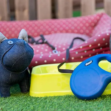 Feriehus Olivar De Castilla - Sun&colors Segovia