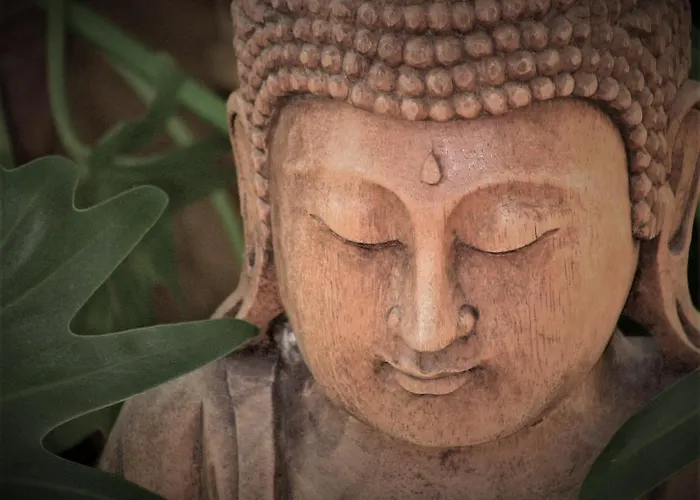 Дом отдыха Olivar De Castilla - Sun&colors Сеговия