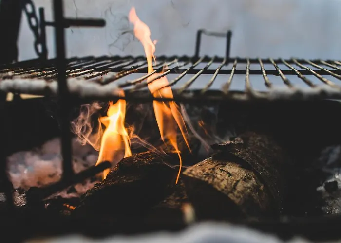 Olivar De Castilla - Sun&colors *