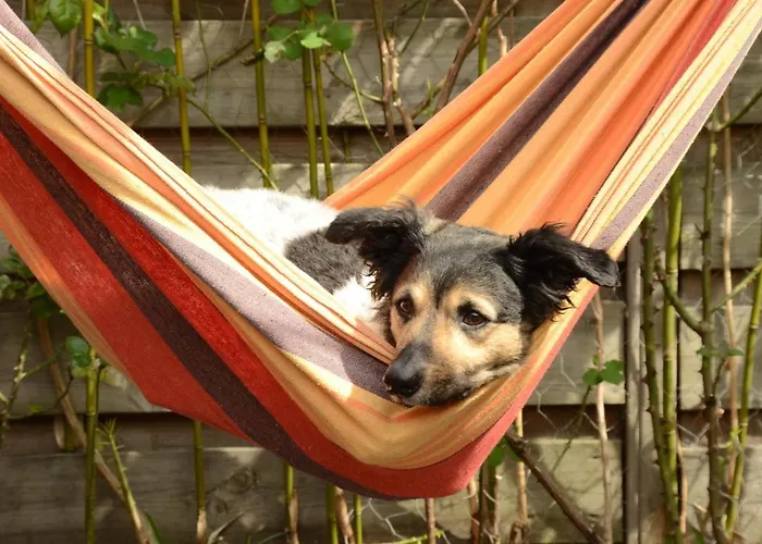 Olivar De Castilla - Sun&colors Дом отдыха *