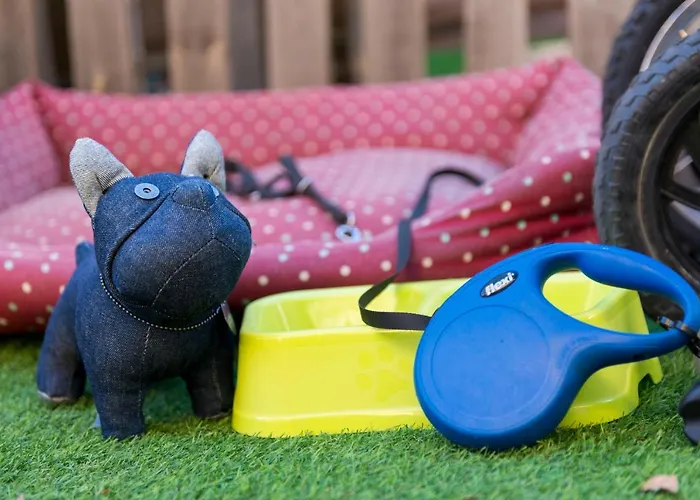 Tatil Evi Olivar De Castilla - Sun&colors Segovia